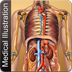 Illustrated Medical Dictionary
